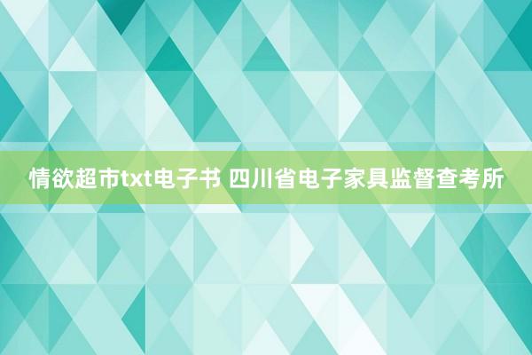 情欲超市txt电子书 四川省电子家具监督查考所