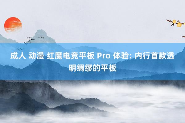 成人 动漫 红魔电竞平板 Pro 体验: 内行首款透明绸缪的平板