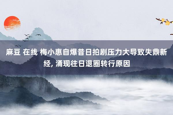 麻豆 在线 梅小惠自爆昔日拍剧压力大导致失鼎新经， 涌现往日退圈转行原因